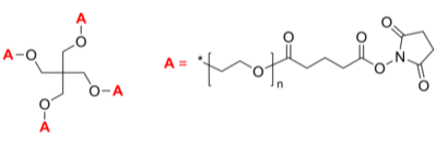 4-Arm PEG-SG 4臂星形-聚乙二醇-琥珀酰亞胺戊二酸酯