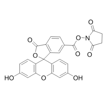 6-羧基熒光素琥珀酰亞胺酯 
