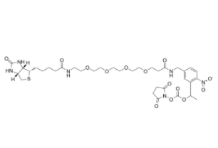 PC-Biotin-PEG4-NHS carbonate 