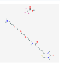 CAS號：194920-43-9，生物素PEG3胺，Biotin PEG3 amine