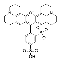 CAS: 60311-02-6，磺酰羅丹明101，Sulforhodamine 101