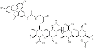 FITC-Hyaluronic Acid