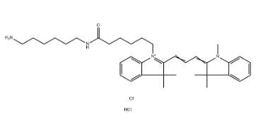 Cy3 amine 氨基