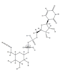UDP-6-疊氮-6-脫氧-D-葡萄糖二鈉鹽