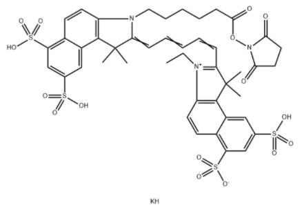 	Cy5.5 N-羥基琥珀酰亞胺酯	 