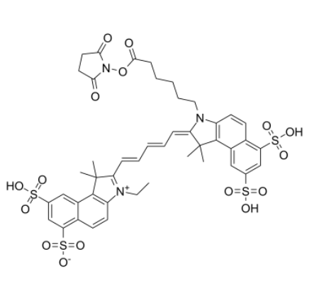 	Cy5.5-N-羥基琥珀酰亞胺酯	 