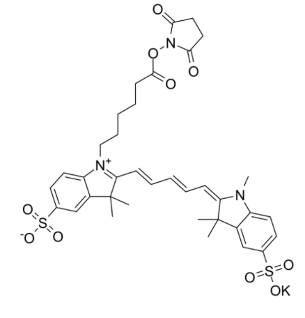 	磺基花青5 NHS酯	 