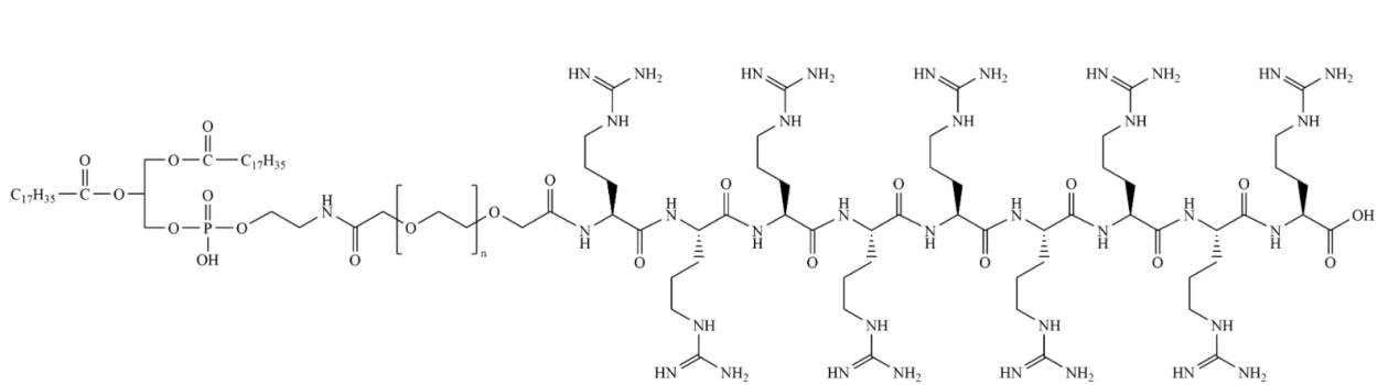 磷脂-聚乙二醇-R9，DSPE-PEG-R9