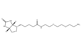 （+）-Biotin-PEG2-CH2CH2NH2