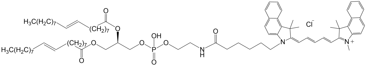 DOPE-CY5.5，CY5.5標記磷脂