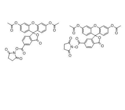 5(6)-羧基二乙酸熒光素琥珀酰亞胺酯(CFDA)	 