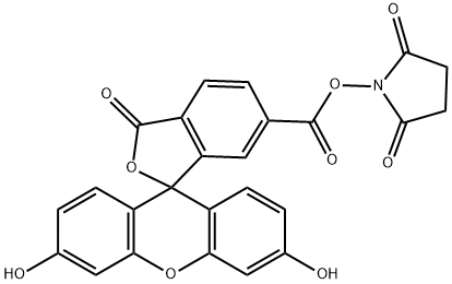 6-羧基熒光素琥珀酰亞胺醚