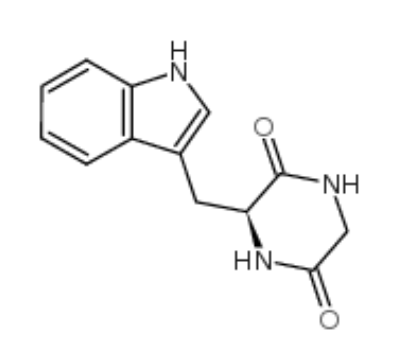 環(甘氨酰-L-色氨酰)	 