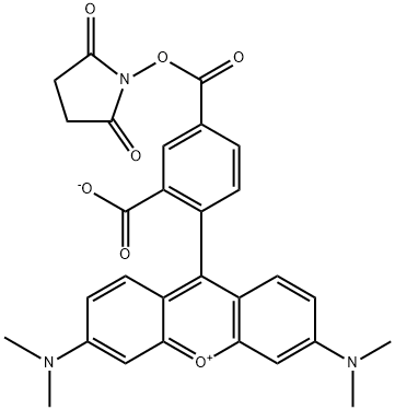 5-羧基四甲基羅丹明琥珀酰亞胺酯
