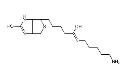 生物素-C5-胺 