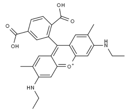 6-Rhodamine 6G Acid 