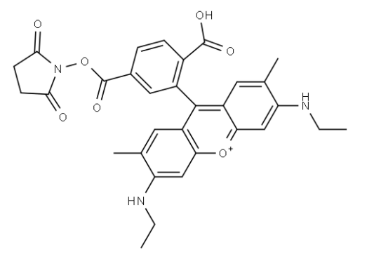 6-羅丹明6G-NHS 活化酯  